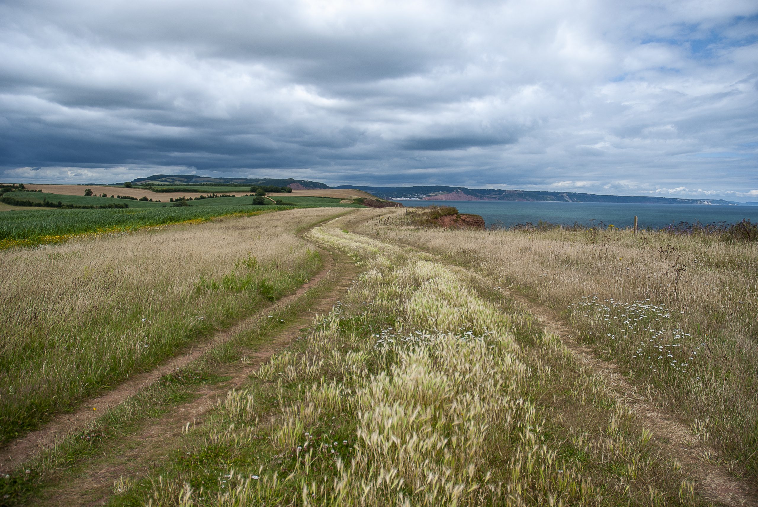 Winding path towards Sidmouth under cloudy skies