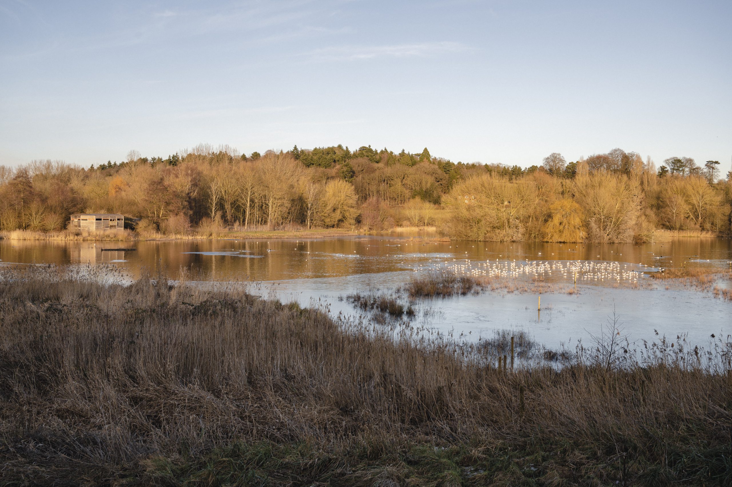 Great Amwell nature reserve Brad Smith photography