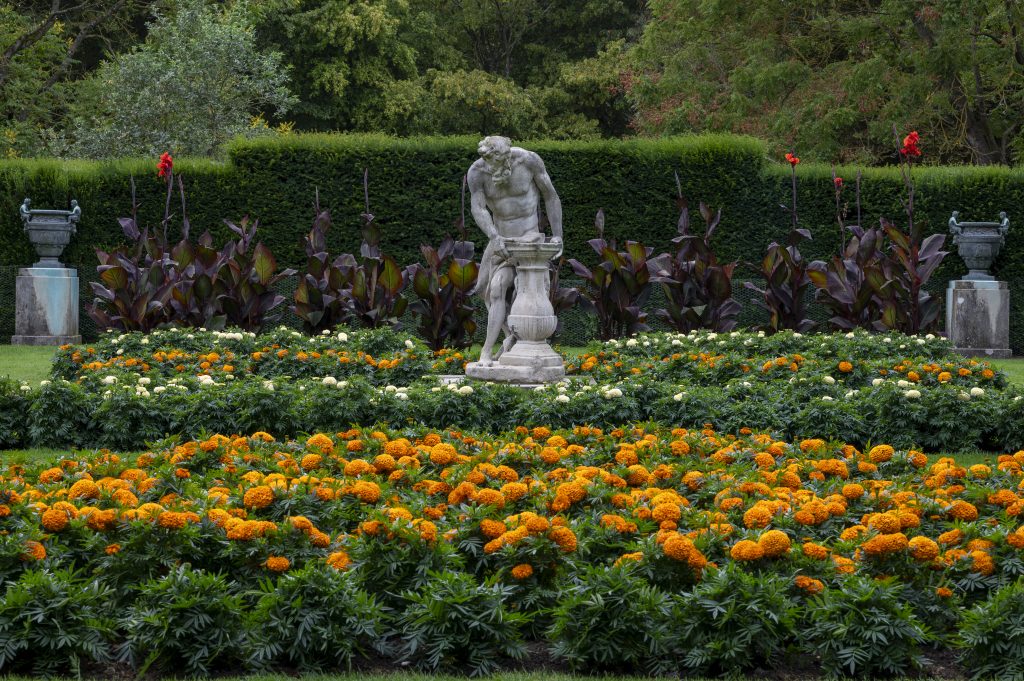Marigolds and statue
